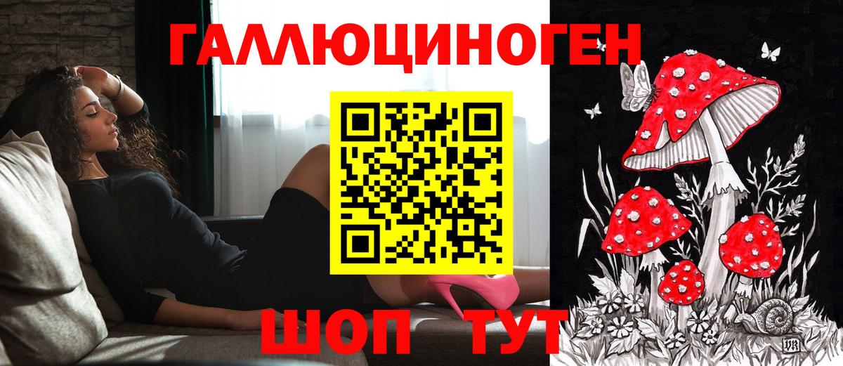 Заводоуковск  Галлюциногенные грибы Psilocybine cubensis  Вход с VPN  Галлюциногенные грибы мухоморы 